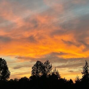 Meet your Posher, Maddison